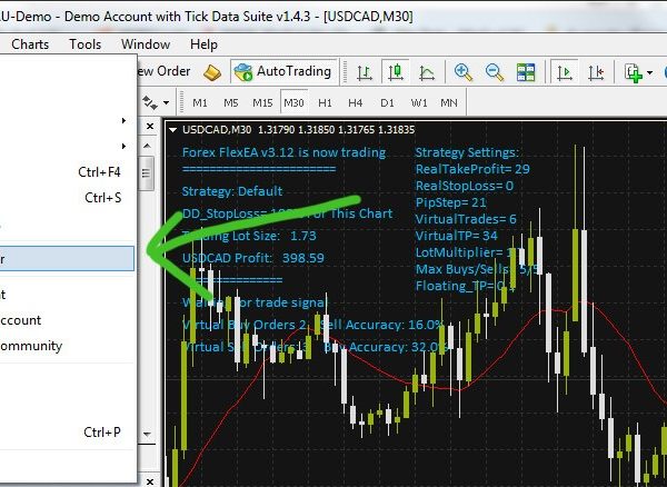 Russian Robot the Flex EA Correlated Hedge forex robot 11