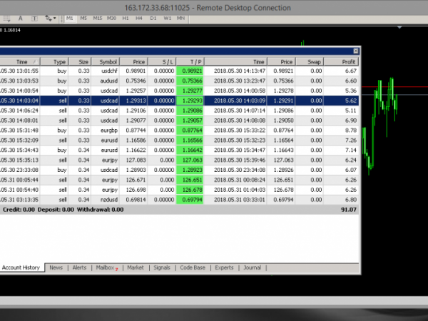 Holy Grail Martingale + 1245% Gain forex robot 5