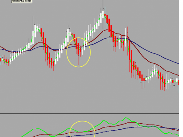 Smart Volume Divergence! Forex 3