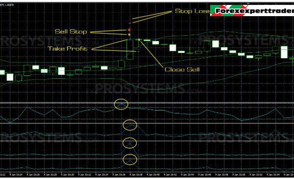 Trillion Dollar Pips EA forex robot 3