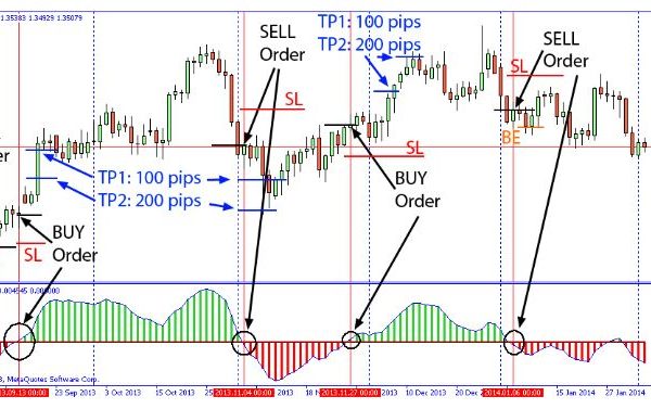 4h and Daily EA forex robot 14