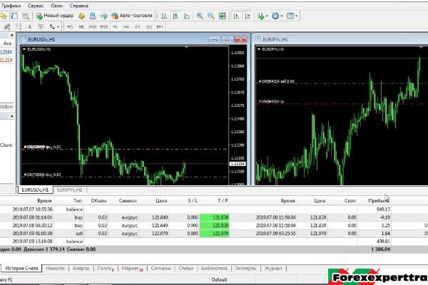 Advisor DVA Martin Dual 3 forex robot 11