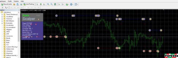 Apex scalper EA – Unlimited version forex robot 3