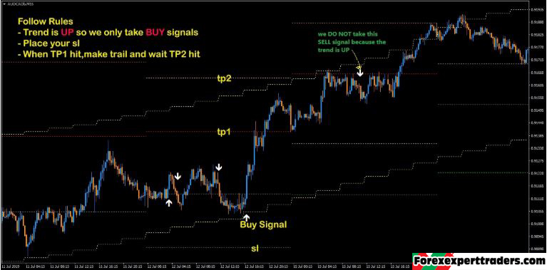 Beat The Market Strategy forex robot 6