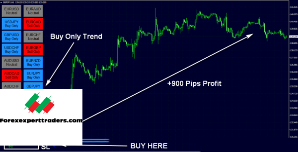 FX Eagle Forex Software – Get 10% Daily Profit Forex 1