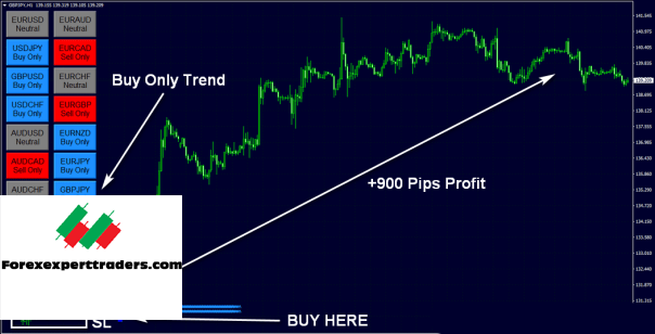 FX Eagle Forex Software – Get 10% Daily Profit Forex 1