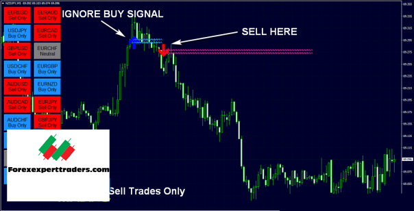 FX Eagle Forex Software – Get 10% Daily Profit Forex 10