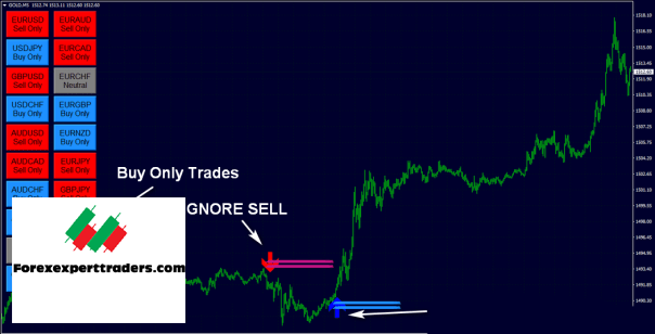 FX Eagle Forex Software – Get 10% Daily Profit Forex 12
