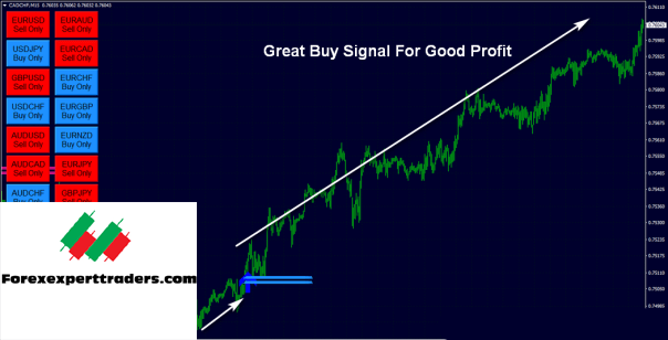 FX Eagle Forex Software – Get 10% Daily Profit Forex 13