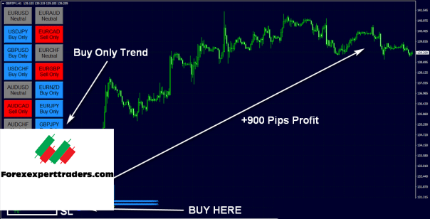 FX Eagle Forex Software – Get 10% Daily Profit Forex 15