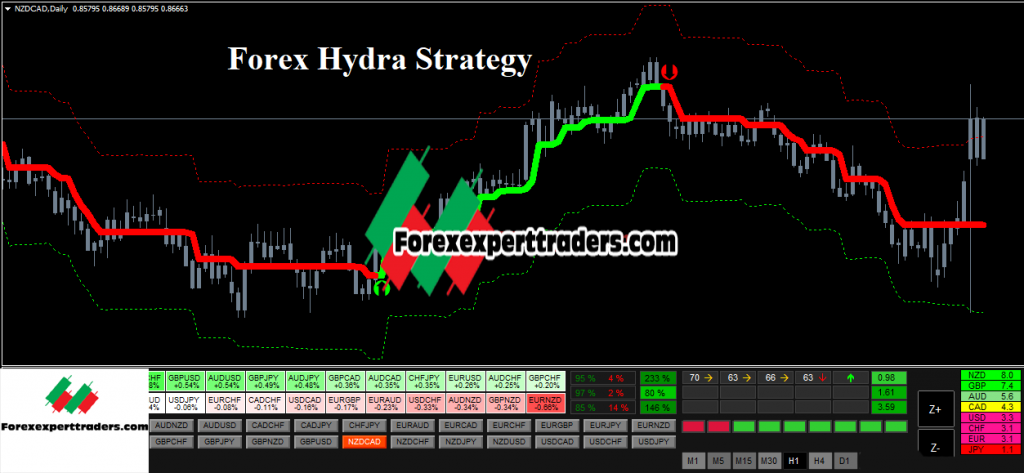Forex Hydra Strategy-Profitable Trading System Forex 2
