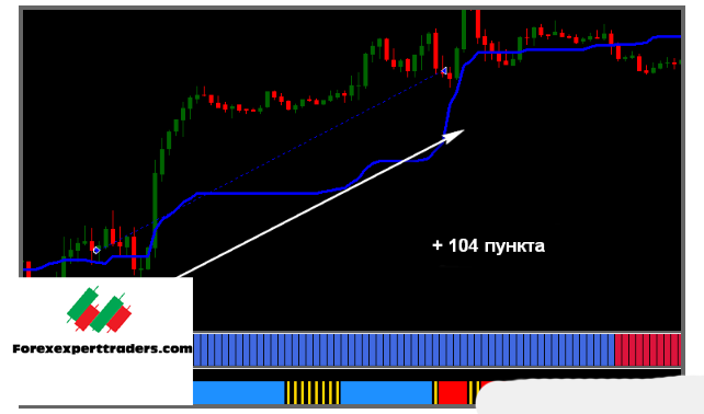Forex King Trading System Forex 2
