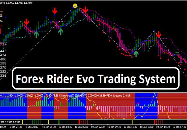 Forex Rider Evo Trading System Forex 6