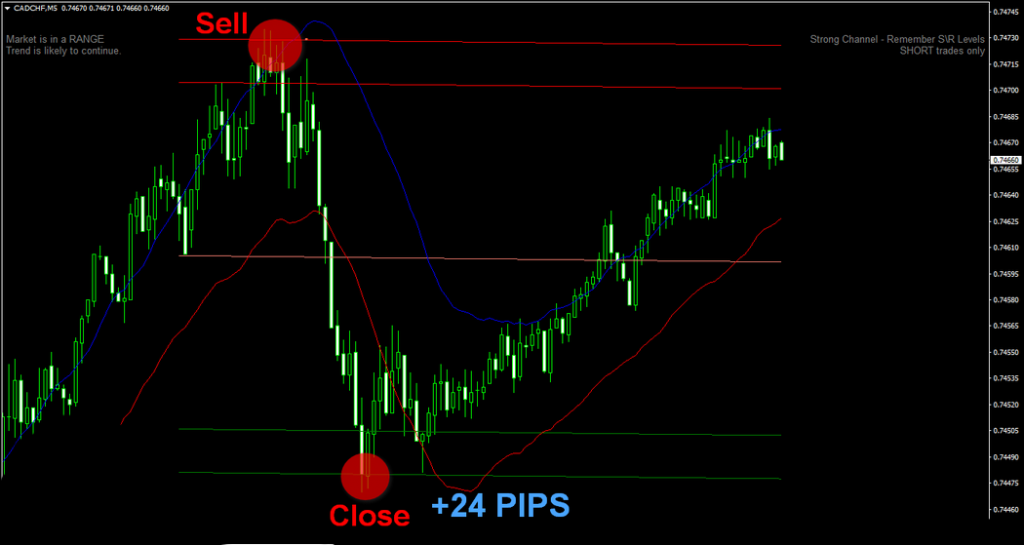 Fx Taurius Momentum Pro – Indicator With Advanced Trend Channel Analysis Forex 6