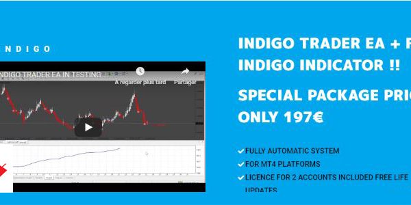 INDIGO TRADER EA + FX INDIGO INDICATOR forex robot 10