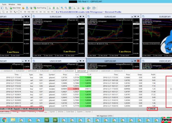 ProfipipsHunter Scalper Expert Advisor forex robot 8