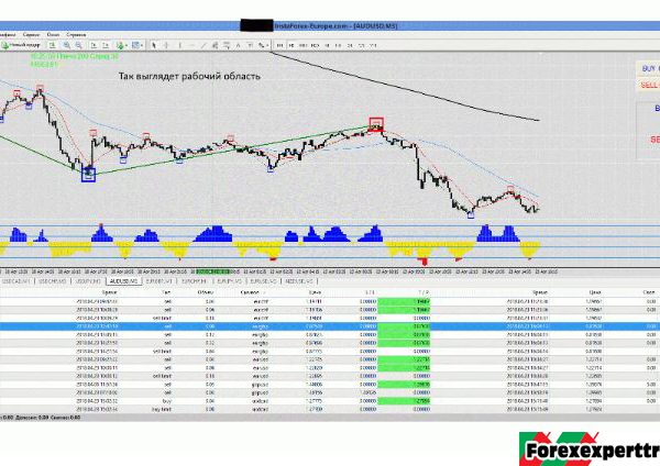 TS Chukotka + 5 Points in Each Transaction forex robot 10