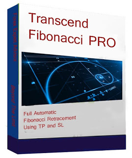 Transcend Fibonacci PRO “Beyond The Limit” forex robot 3