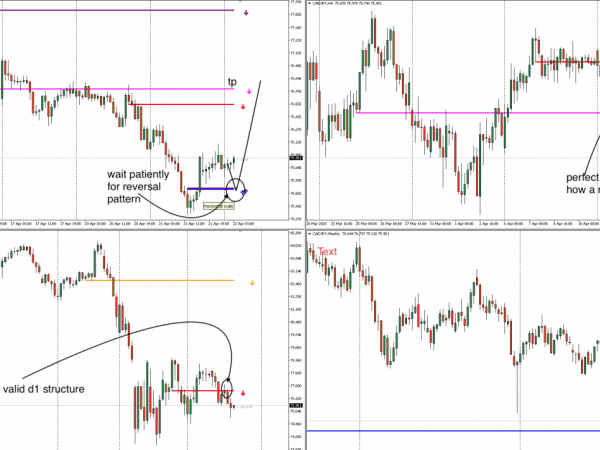 Multi Frame Trading System -[Private Use]- Full Trading System Forex 7