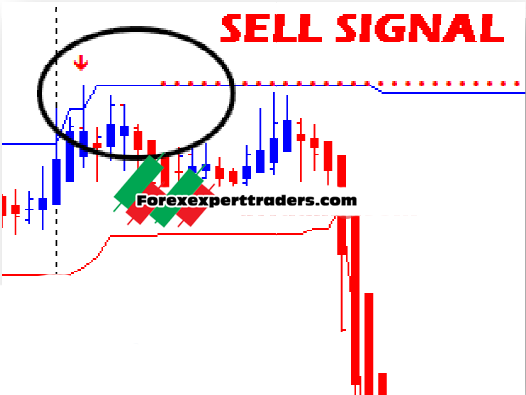 Forex Ripper Manual Trading System -Unlimited Version Forex 5