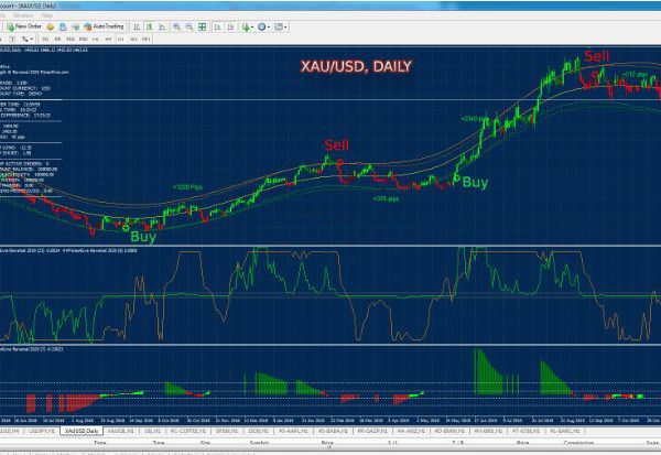 Forex4Live Reversal 2020 - Unlimited Version FOREX ROBOT 6