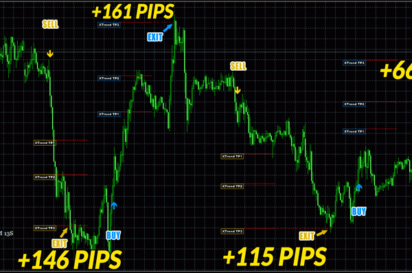 Renko Maker Pro - Trading System 10