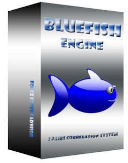 Bluefish Engine Miner "Two Pairs Correlation System 1