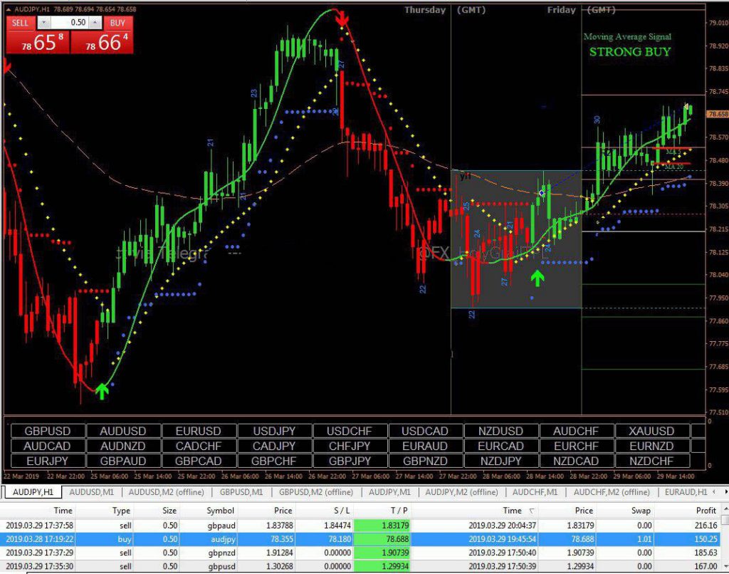 Forex Holy Grail System Pro- Forex Trading system 1