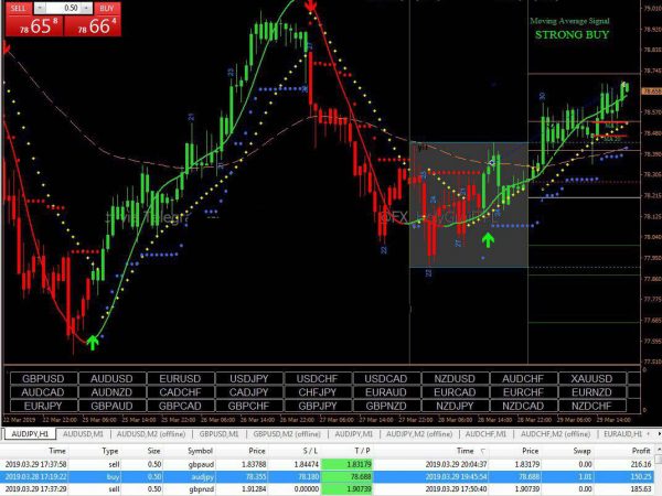 Forex Holy Grail System Pro- Forex Trading system 5