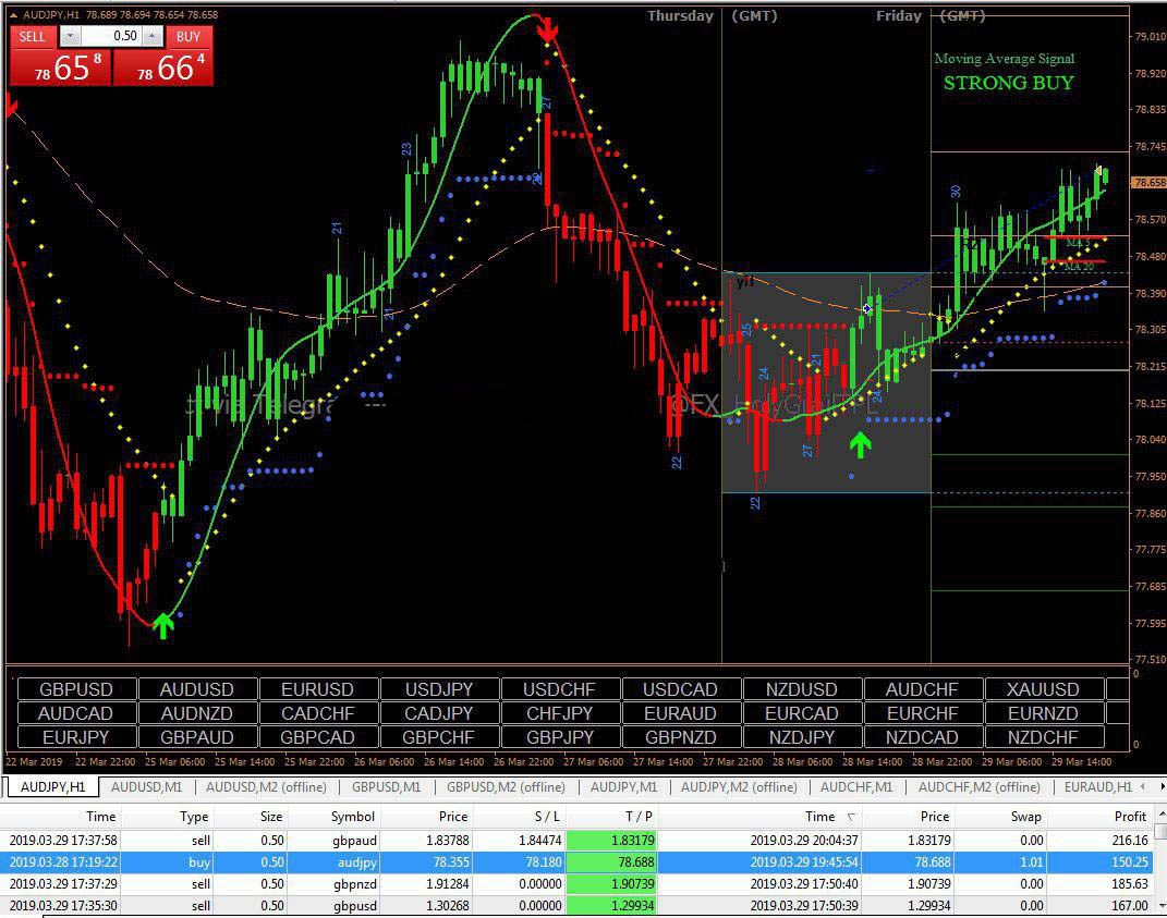 Forex Holy Grail System Pro- Forex Trading system ...