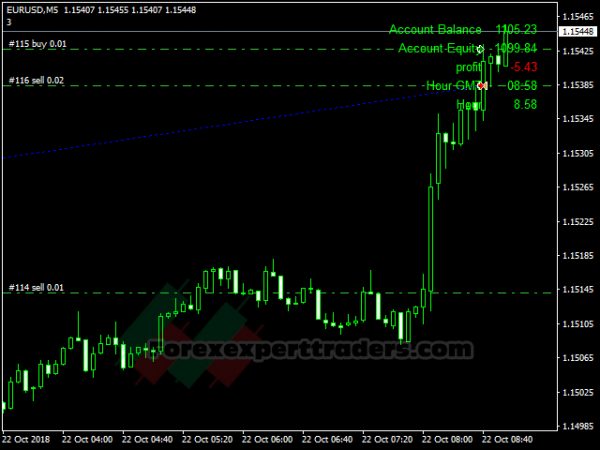 Hedging Forex EA1 Forex Robot 29