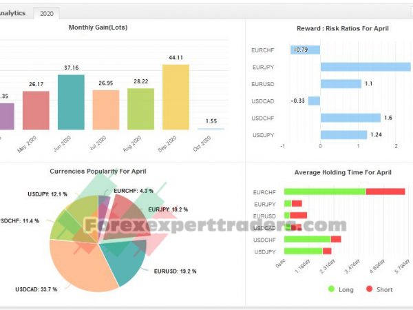 Advisor skynet Forex Robot 24