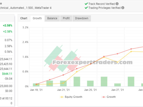 virtuo multi trading Forex robot 62