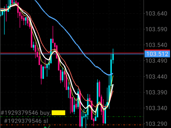 Forexlify BTMM forex robot 21