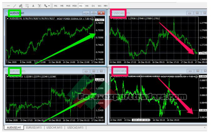 Wolf Forex Signal ea V7.00 forex robot 5