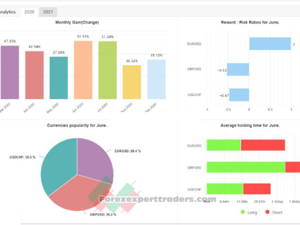 Eco Robot v2.0 forex robot 20