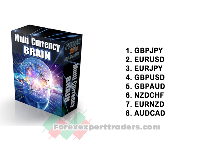 Multi currency brain forex robot 1
