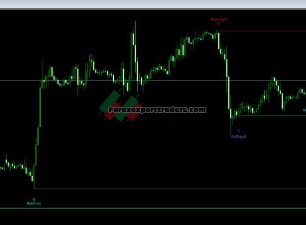 Candle Pips Traders 29