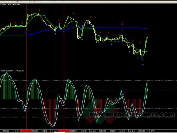 Scalping Chimp Trading System 34