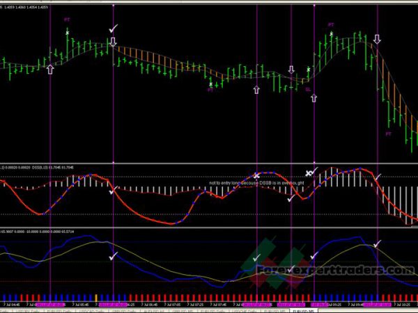 The Dragon Fly Trading System 15