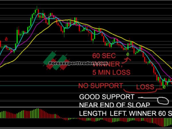 BOIS-indicators -Platinum Indicators 13