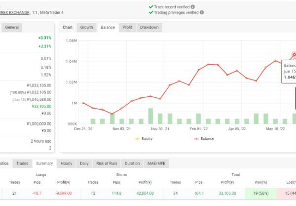 AUDNZD Otaku EA Forex Robot 10