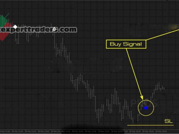 Elder Impulse Auto forex Trading System 14